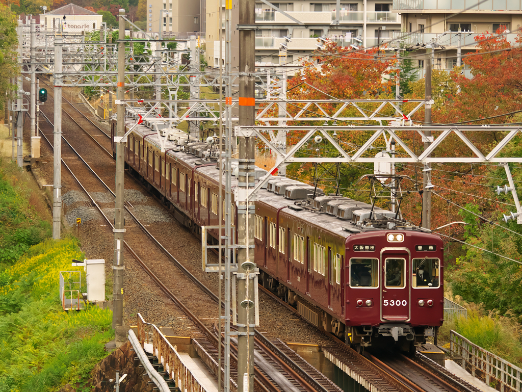 2021・マルーンの秋