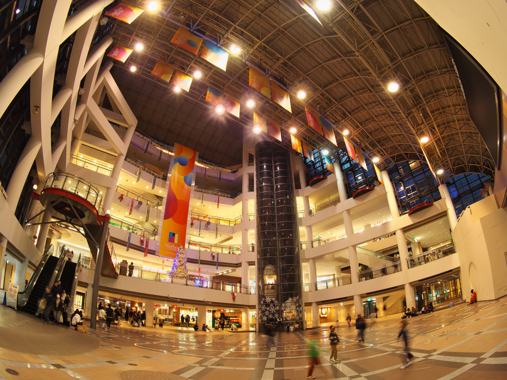 今年のクリスマスツリー