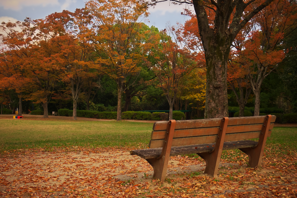 公園の秋