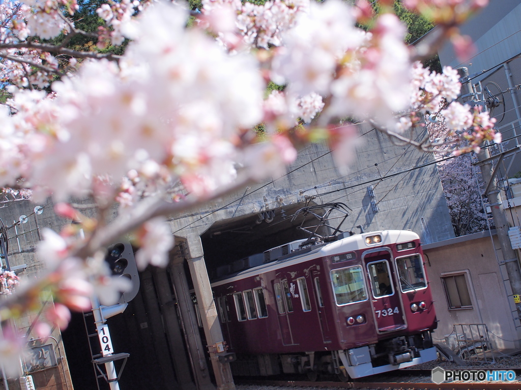 阪急千里線・春景色