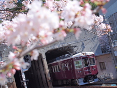 阪急千里線・春景色