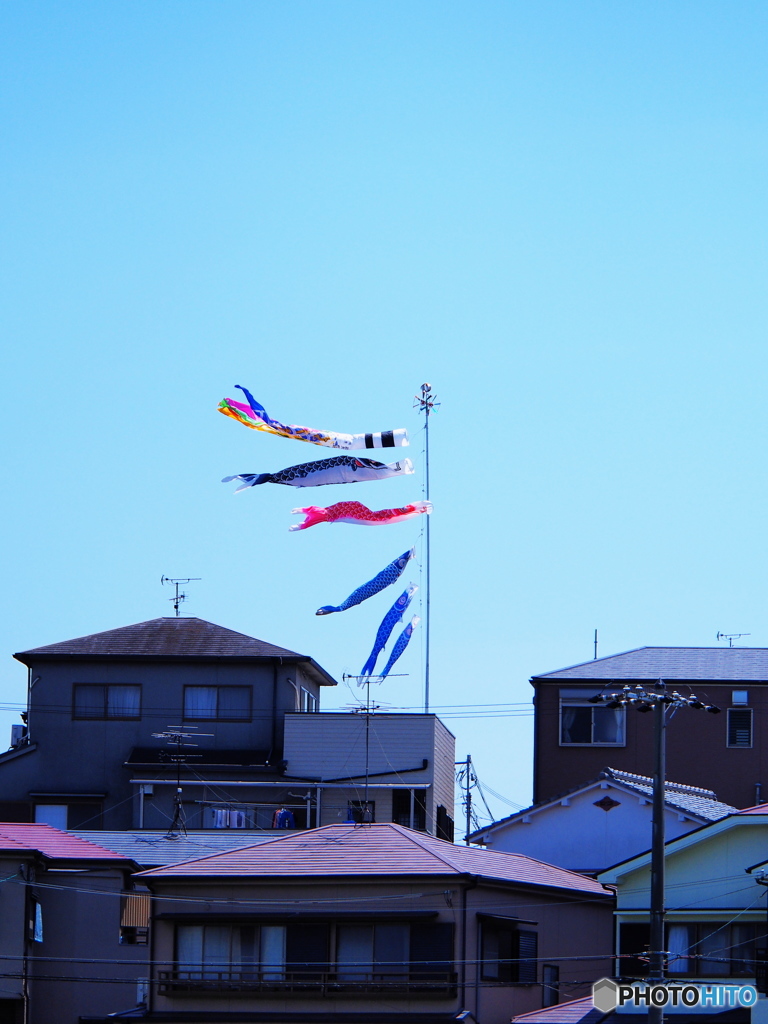 端午の節句