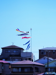 端午の節句