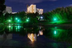 夜の公園