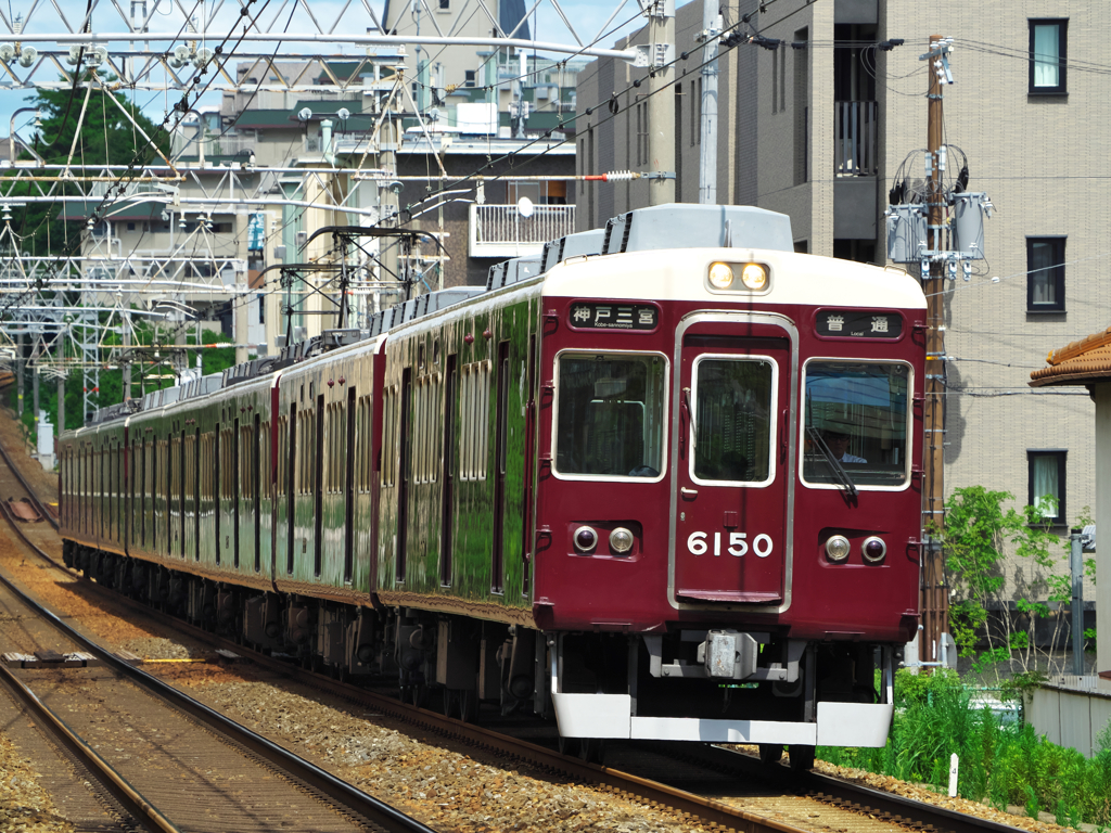 結局、どれが正解なのか