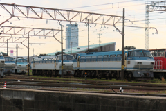 鉄道の街 Ⅲ ～吹田サメ祭り