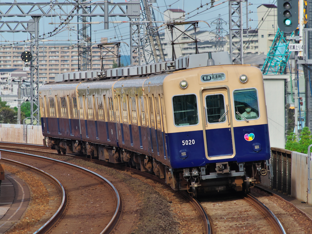 ありがとう青胴車