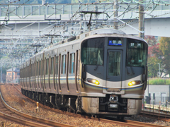 225の日