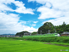 ウグイスの啼く夏