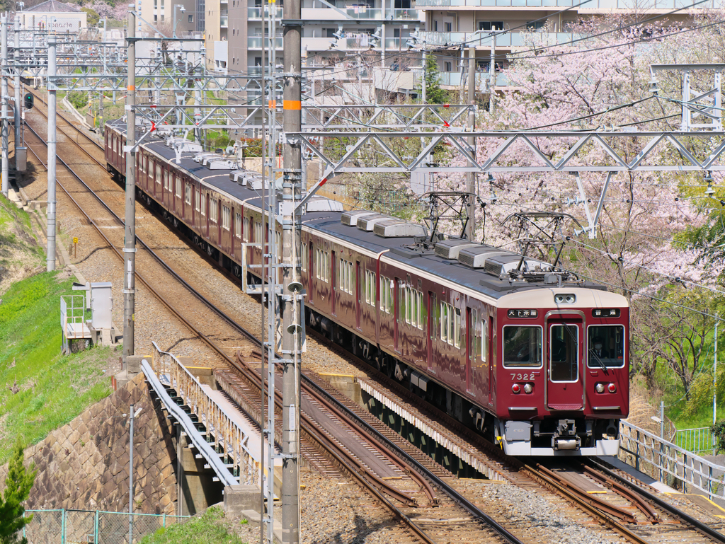 2020・マルーンの春 Ⅱ