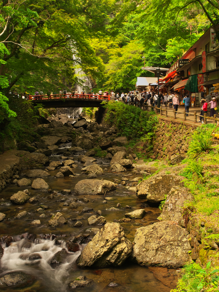 賑わいの滝道