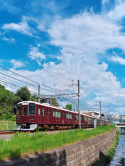 夏の小川