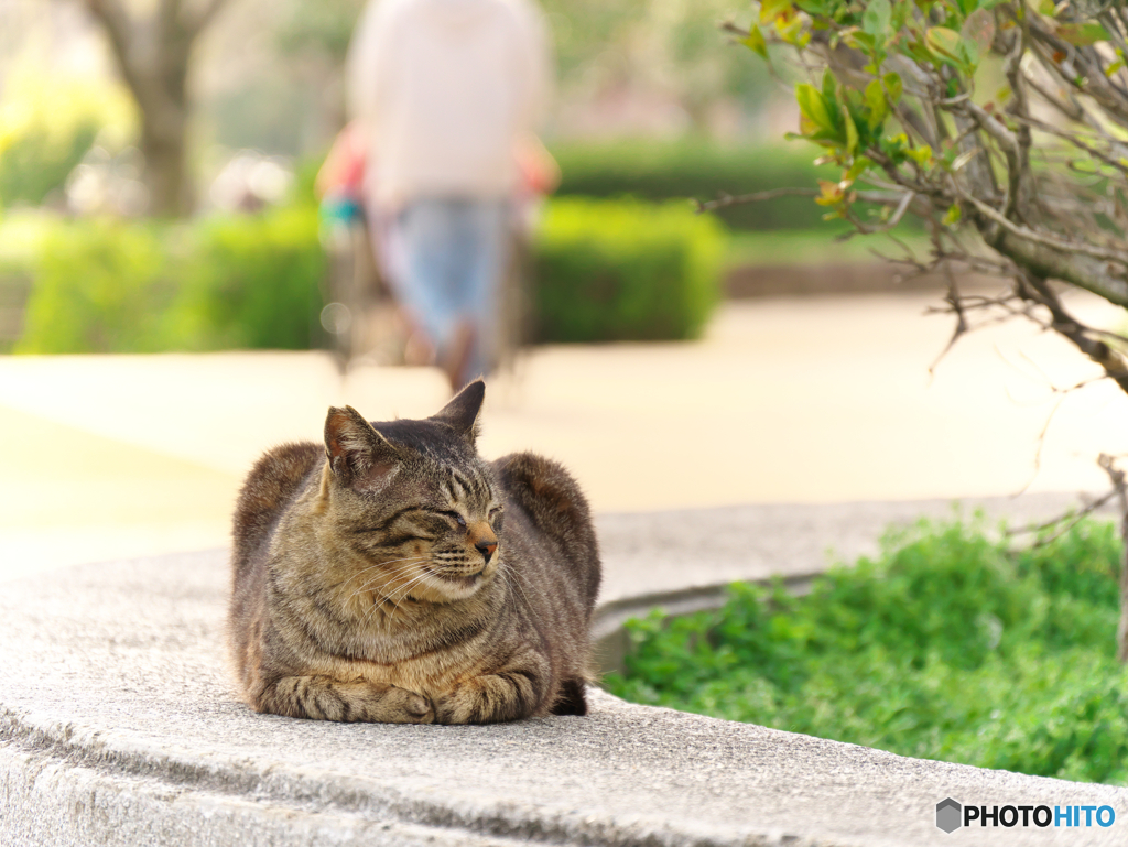 穏やかな春の日