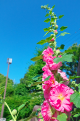 梅雨の合間に