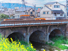 149年目の春