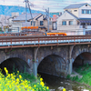 149年目の春