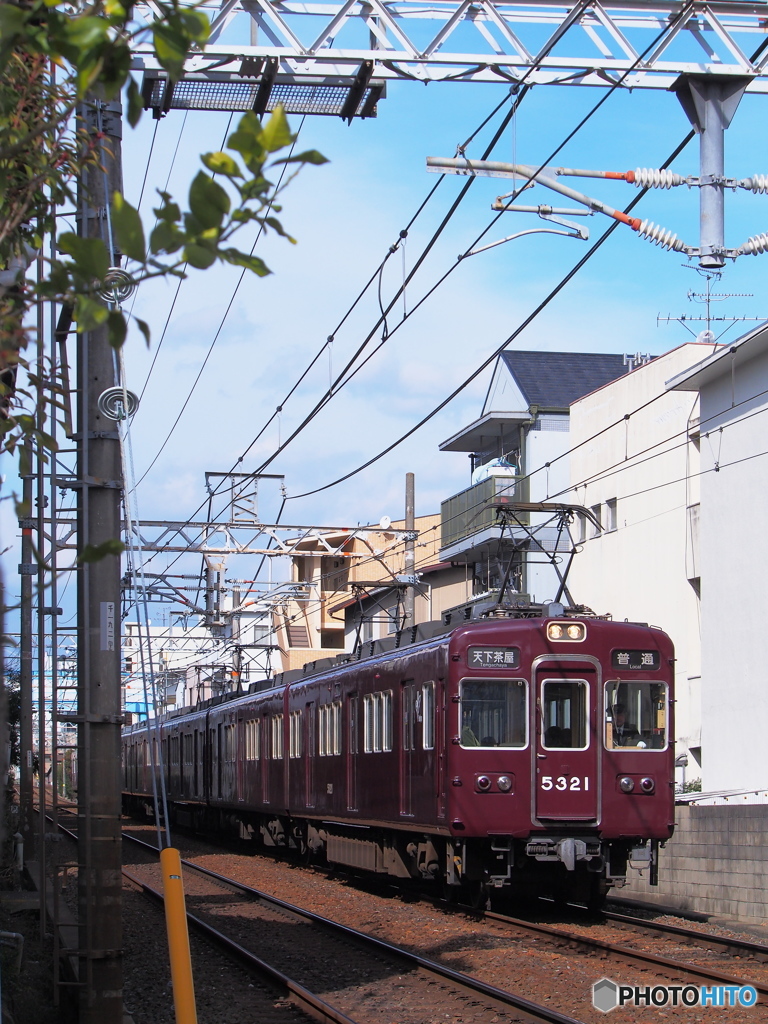 隙間から失礼