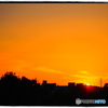 Good bye,today