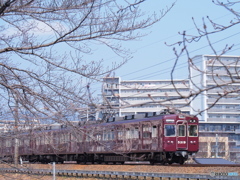 下見もまた楽しからずや