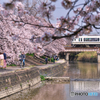 春色列車 Ⅱ