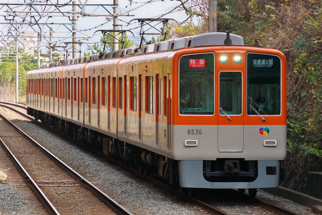 まあ焦るな焦るな