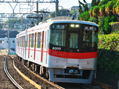 走っている姿