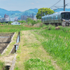 のどかなる旅路