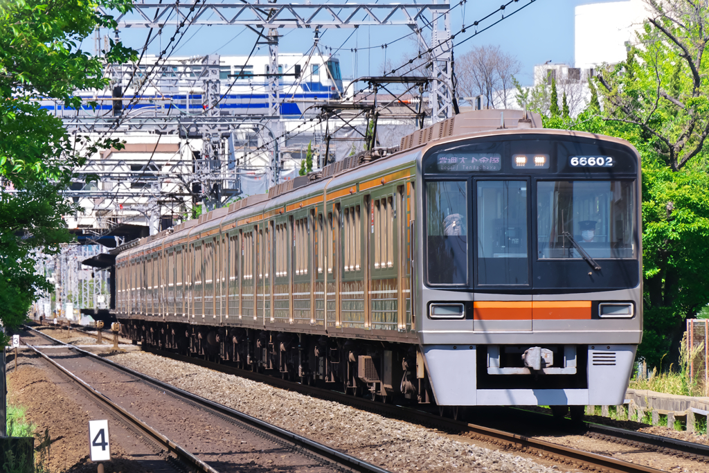 コラボった