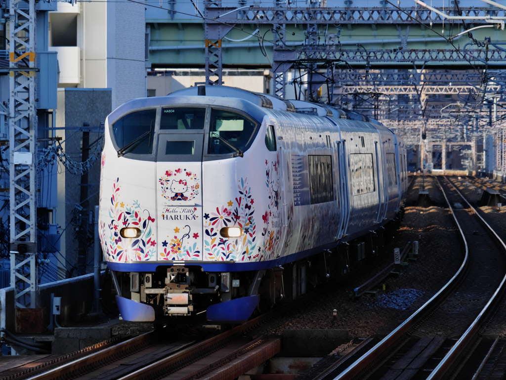 西日を受けて