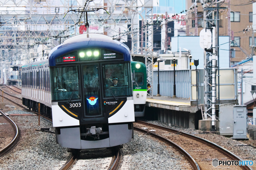 凛として、インを差す