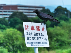 おやつの時間
