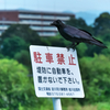 おやつの時間