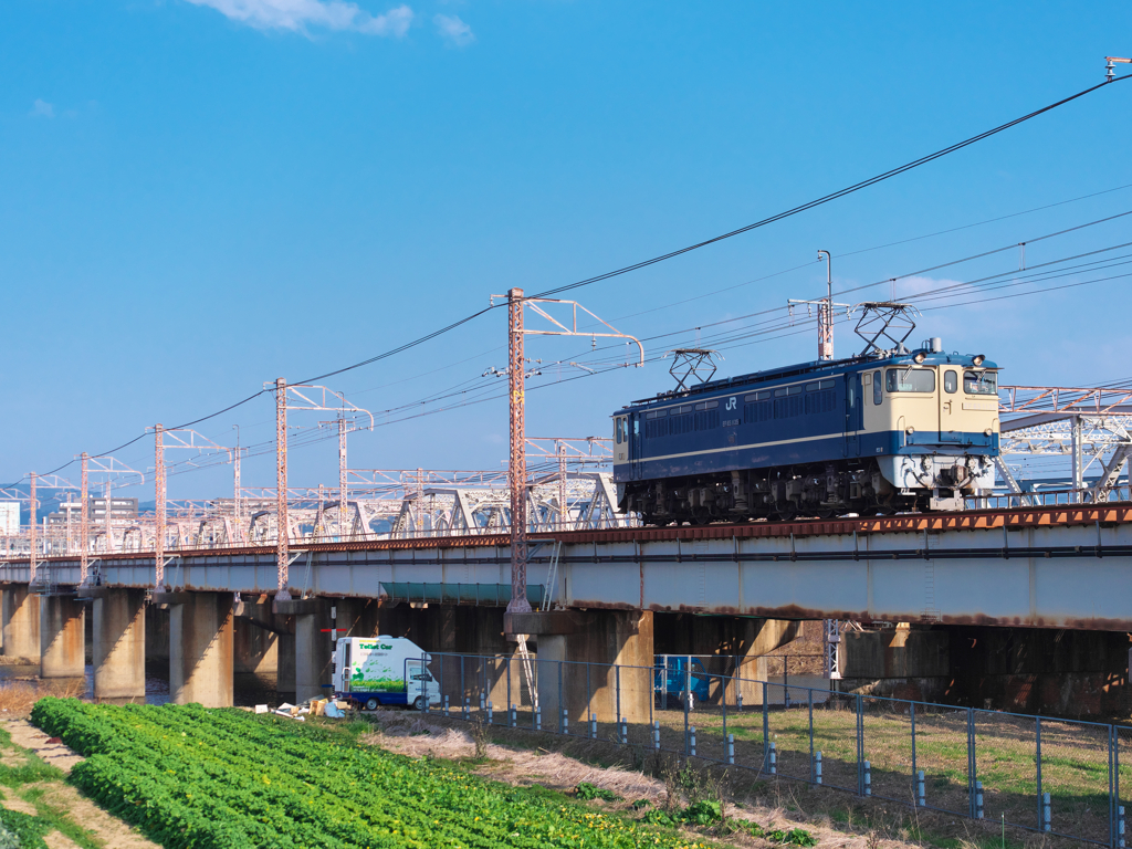 原色独り旅