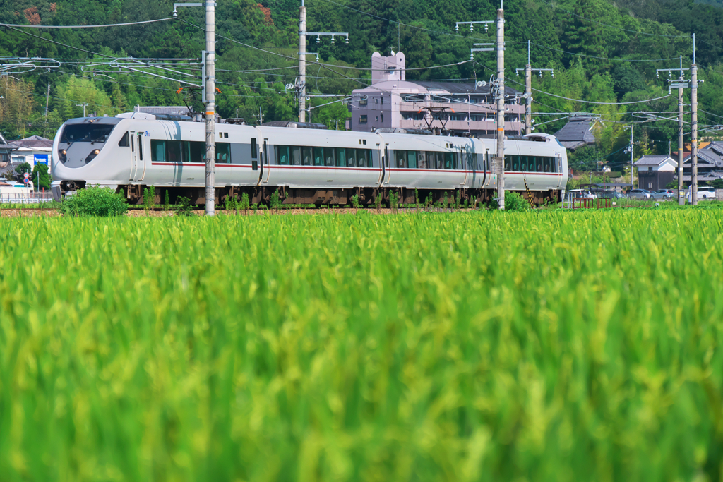 しあわせを運ぶ