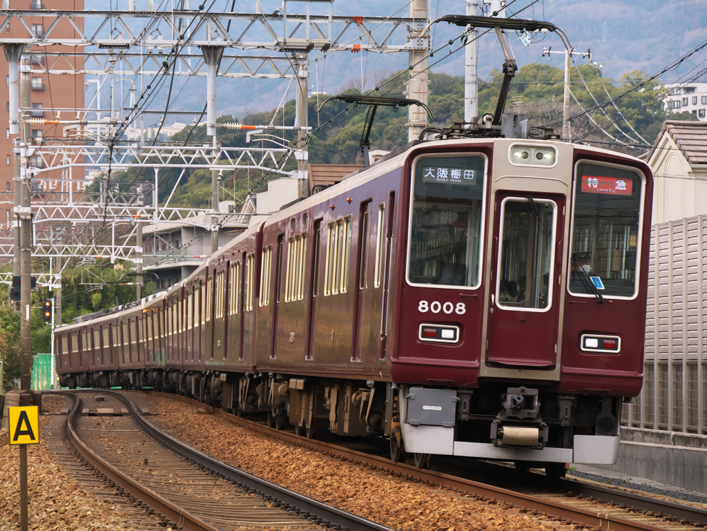 紆余曲折はつきもの