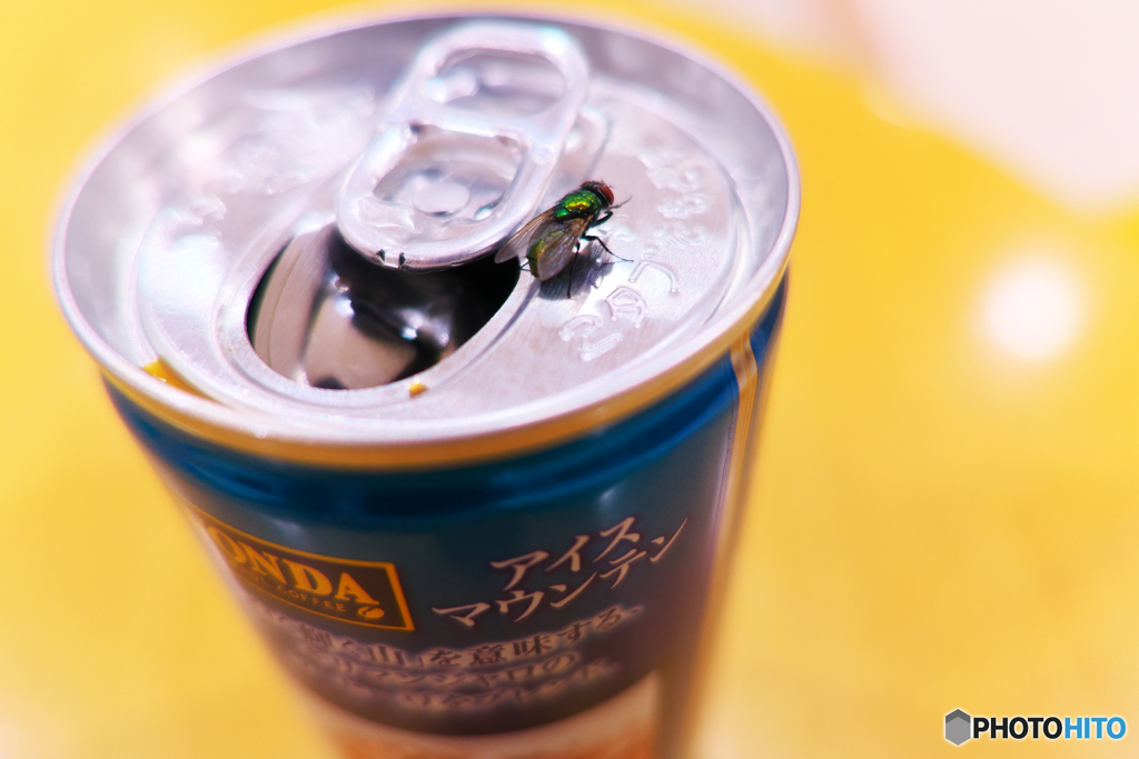 あッ、この野郎……