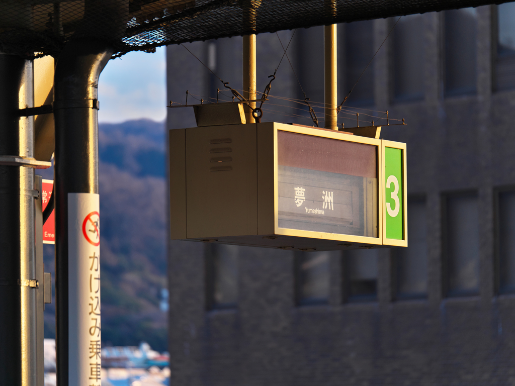 まだまだパタパタ