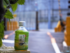 撮り鉄の合間に