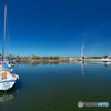 Blue Harbor