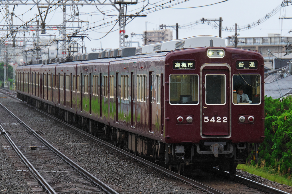 雨のオールドマルーン Ⅱ