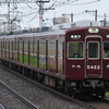 雨のオールドマルーン Ⅱ