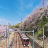 2025・マルーンの春 Ⅱ