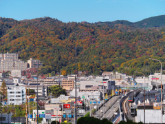 色とりどりの山を背に