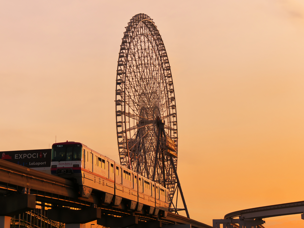 夕陽に照らされて