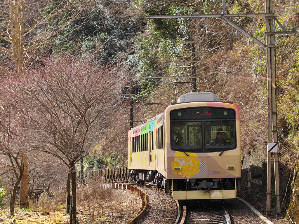 枯れ木も山の賑わい