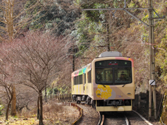 枯れ木も山の賑わい