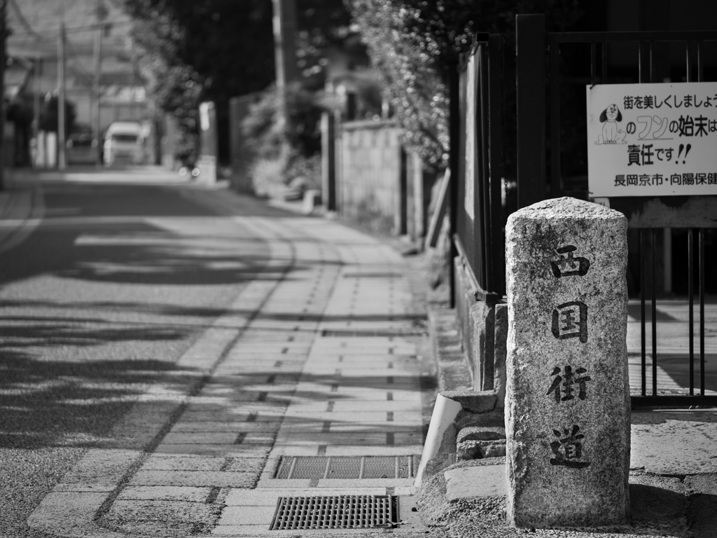 街道を行く