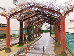 雨の廃線跡を歩く