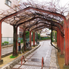 雨の廃線跡を歩く