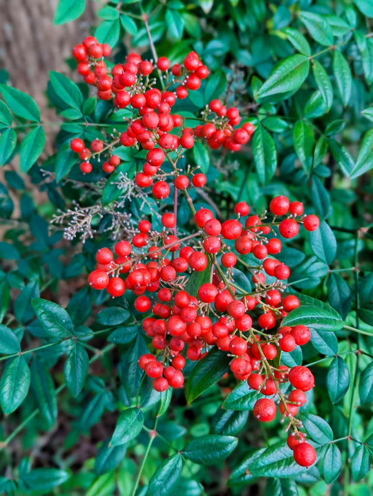 私の愛は深まるばかり
